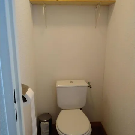 Le Flocon Du Sancy Apartment